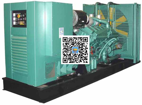 佛坪笼型异步发电机的电力电子控制技术